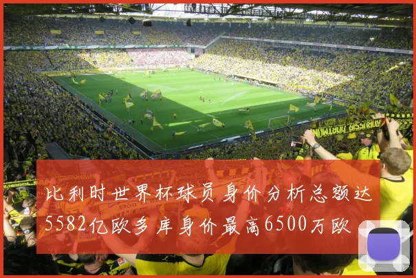 比利时世界杯球员身价分析总额达5582亿欧多库身价最高6500万欧